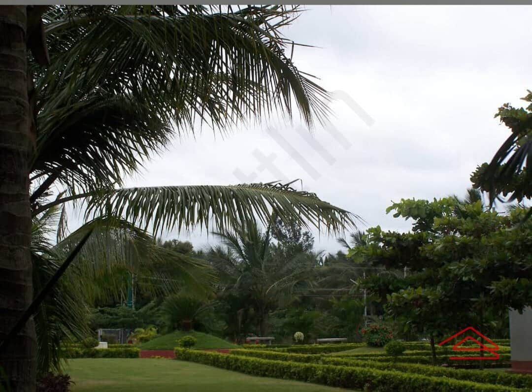 Project: OpenGreenSpace