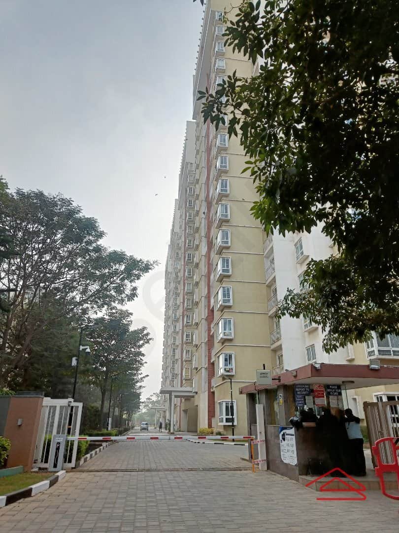 Project: ApproachRoad