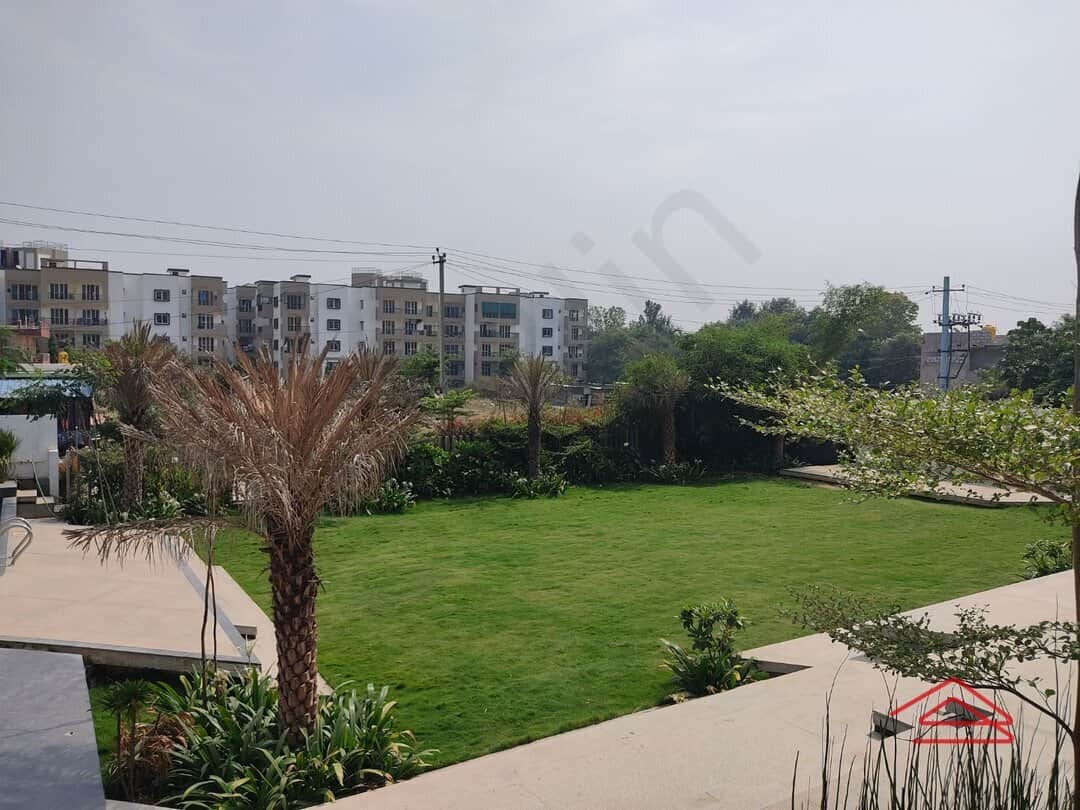 Project: AmphiTheatre