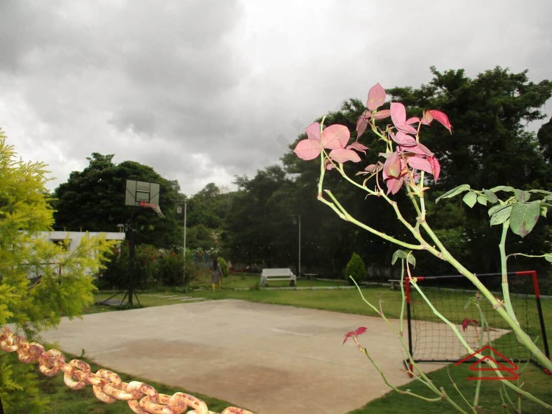 Project: BasketballCourt