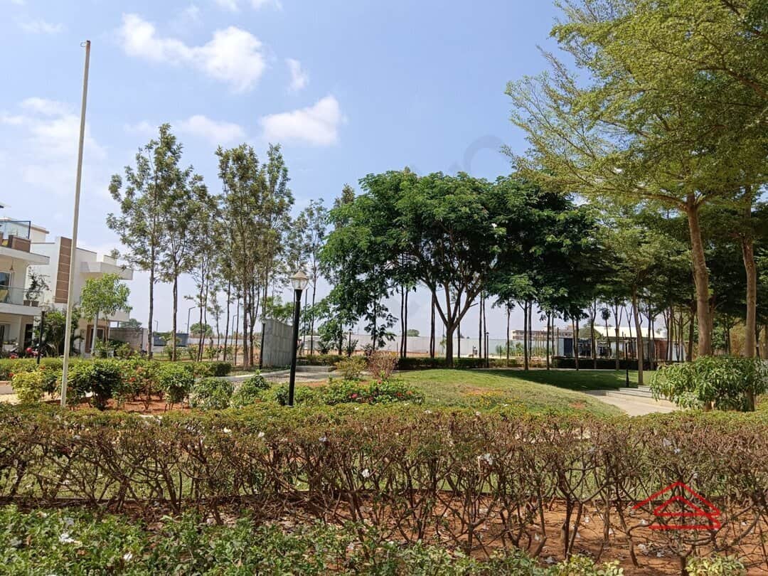 Project: Specifications