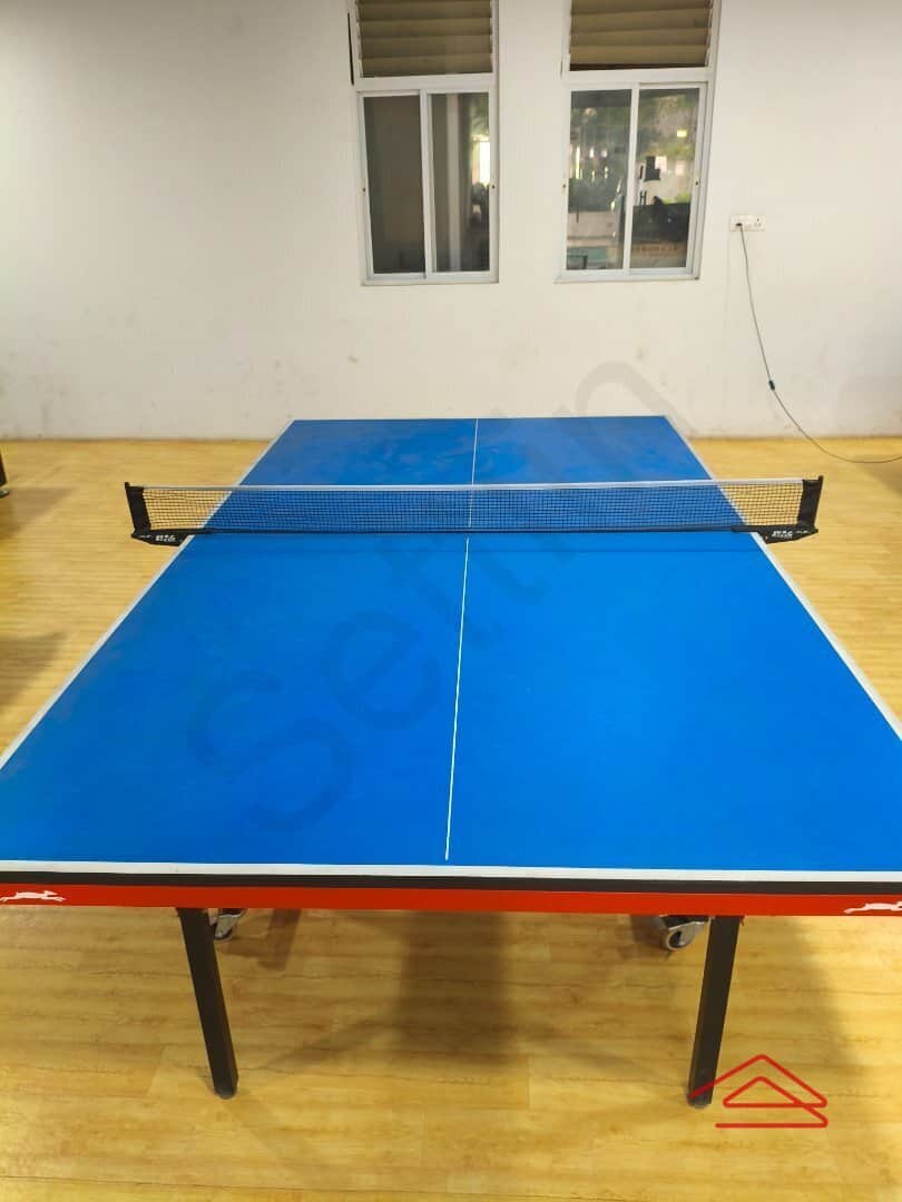 Project: TableTennis