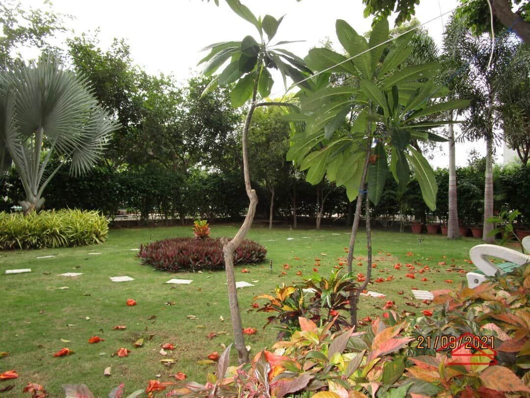 Project: OpenGreenSpace