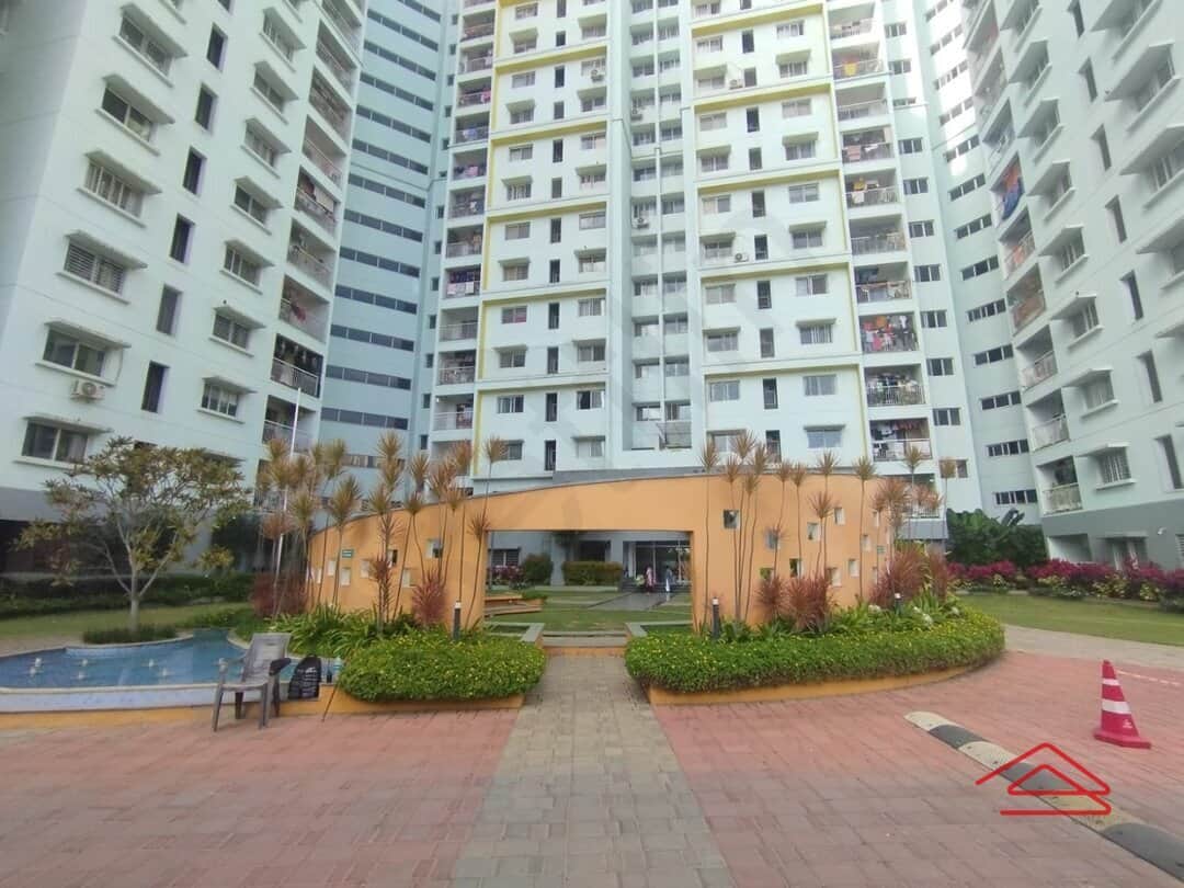 Project: AmphiTheatre