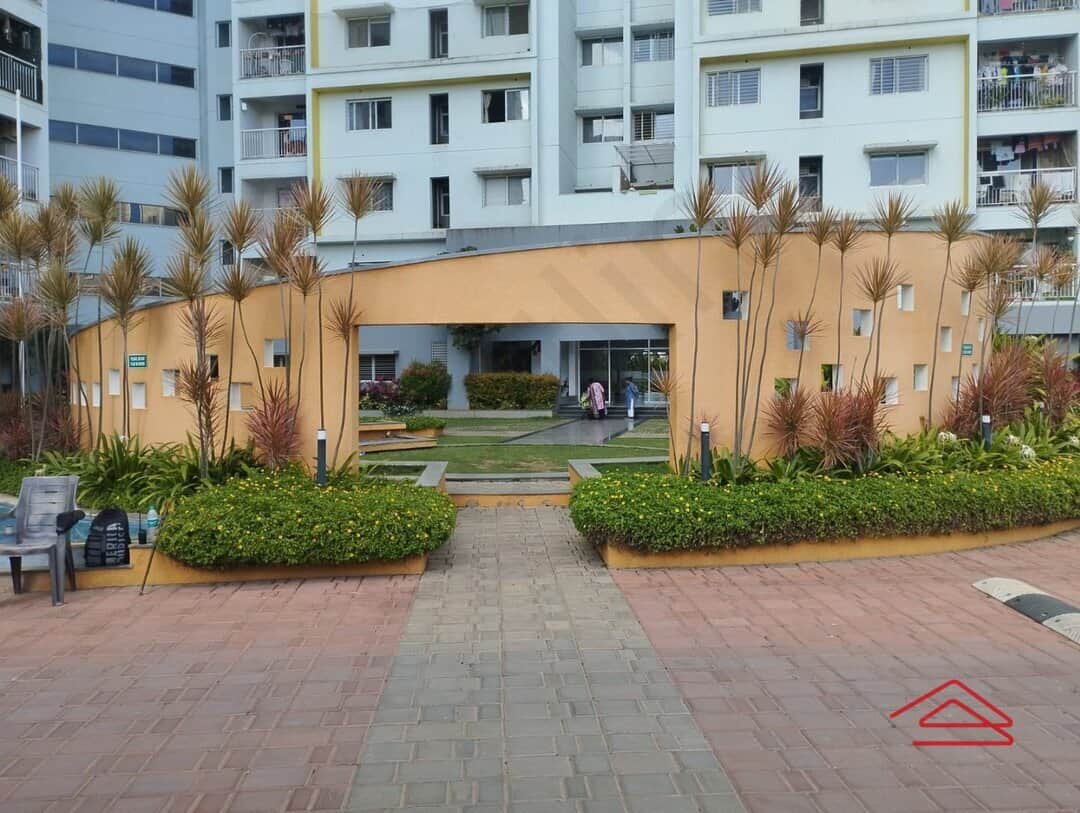 Project: AmphiTheatre