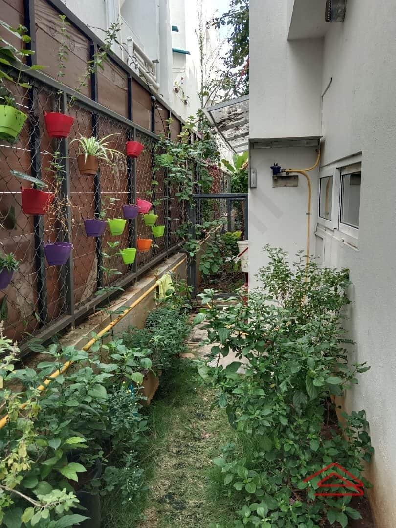 Garden 1
