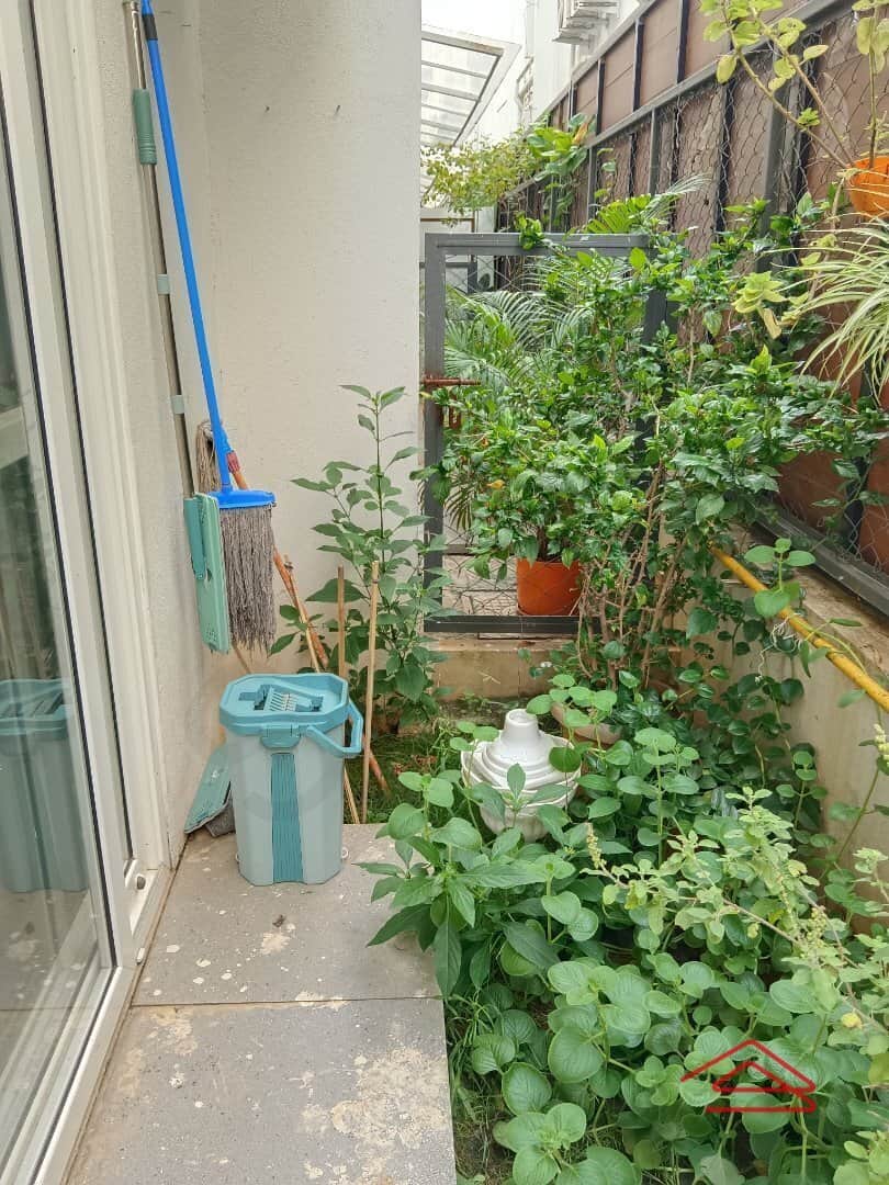 Garden 1