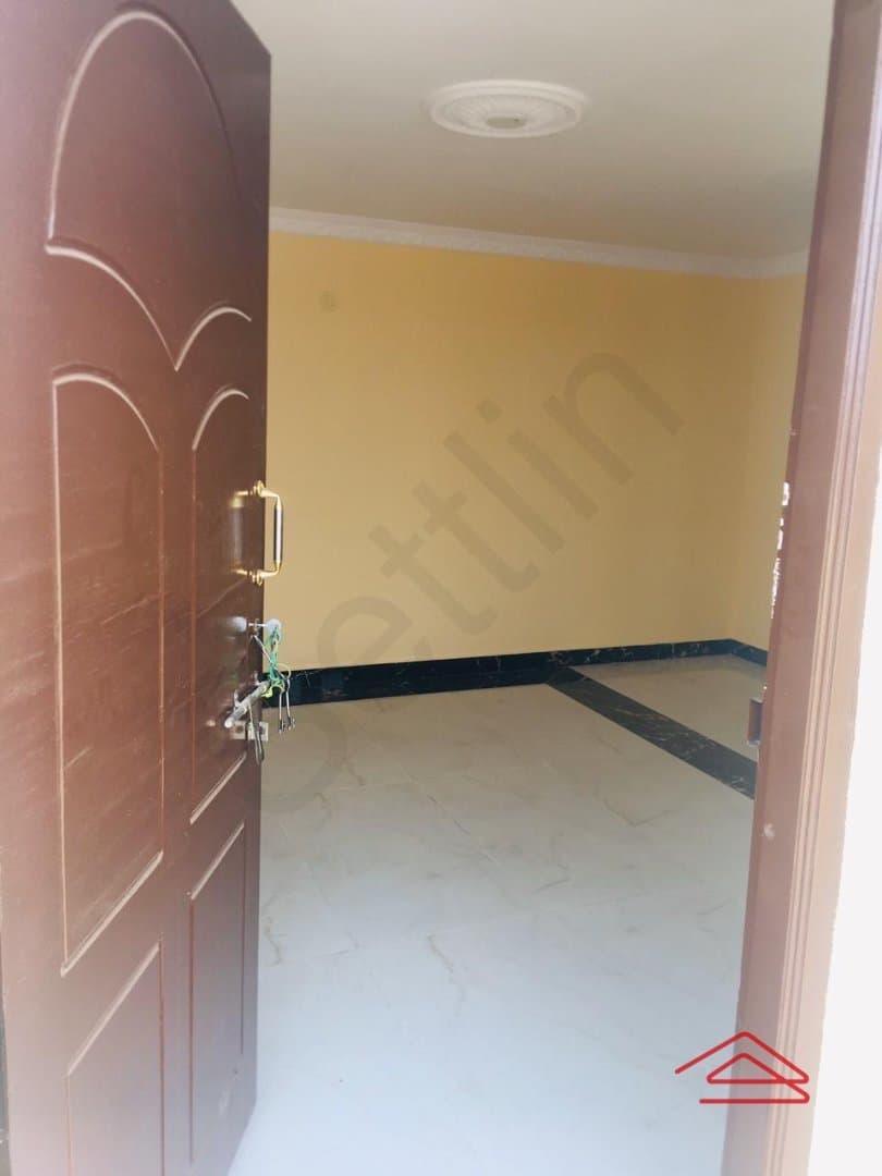halls-1585567606952.jpg