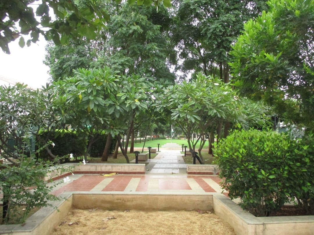 Project image