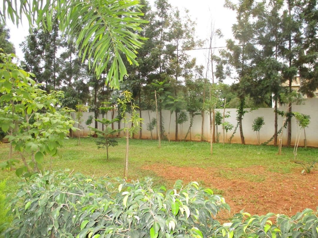 Project: OpenGreenSpace