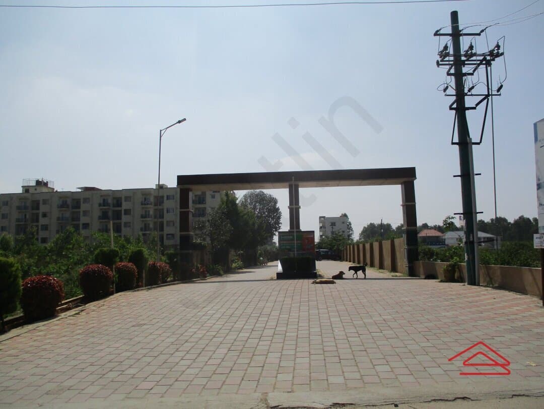 Project image