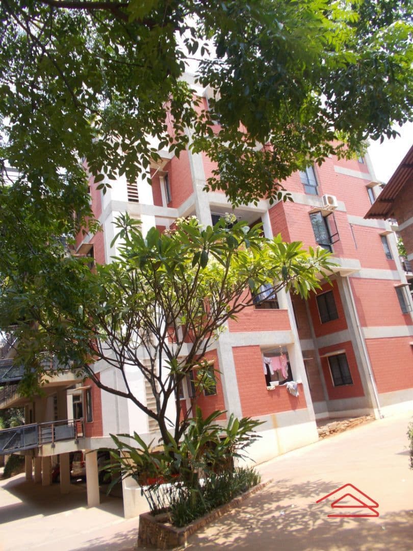 T Zed, Borewell Road