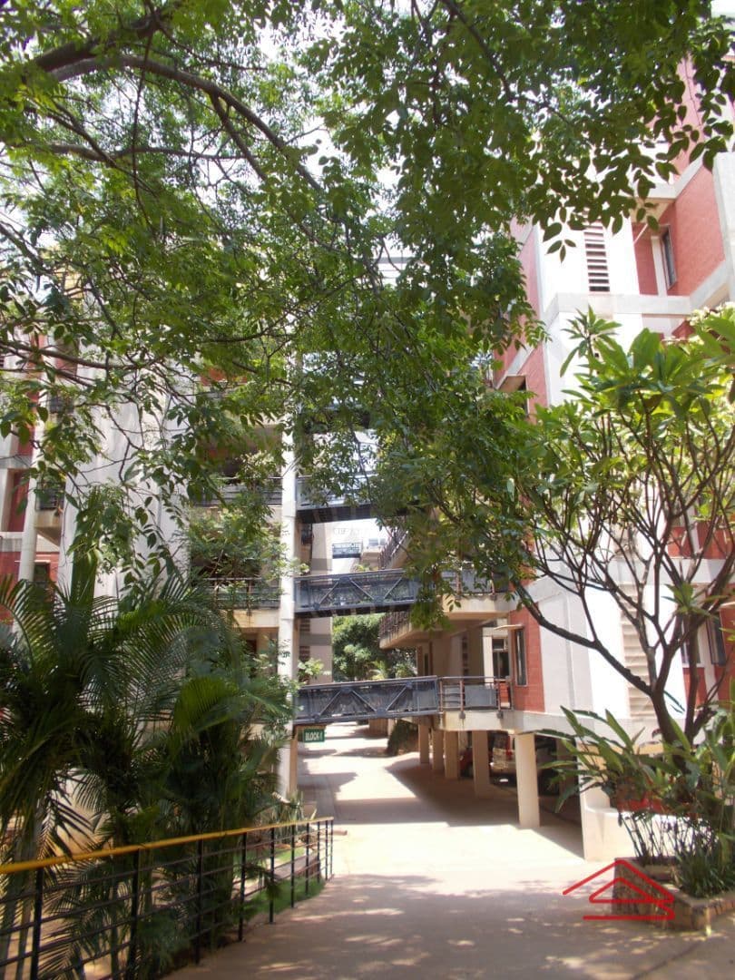 T Zed, Borewell Road