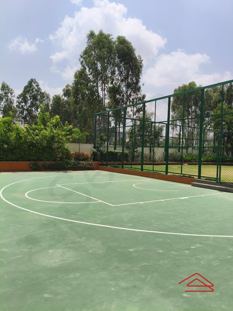 Project: BasketballCourt