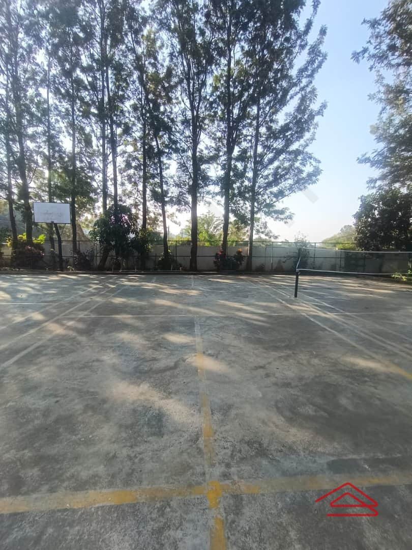 Project: BasketballCourt