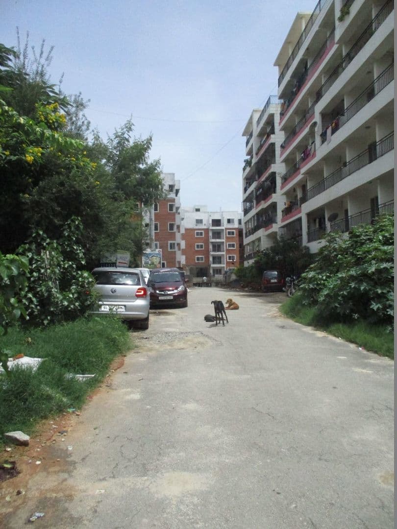 Project image
