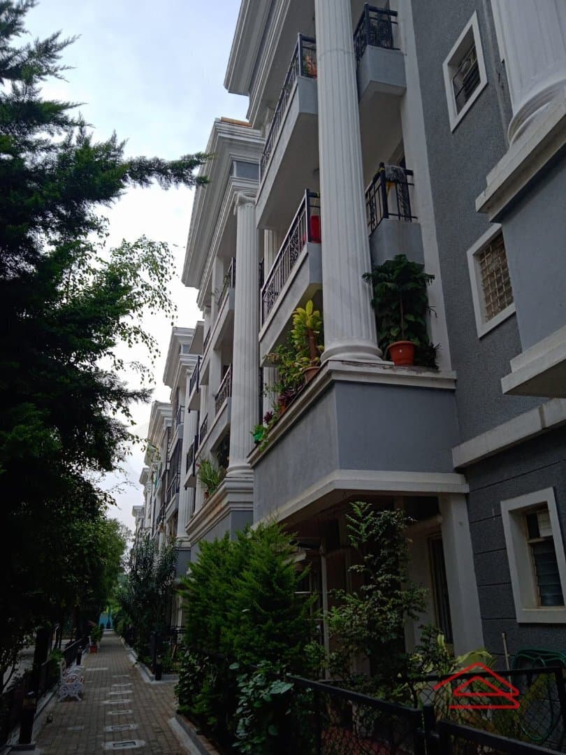 Purva Iris (Cox Town)