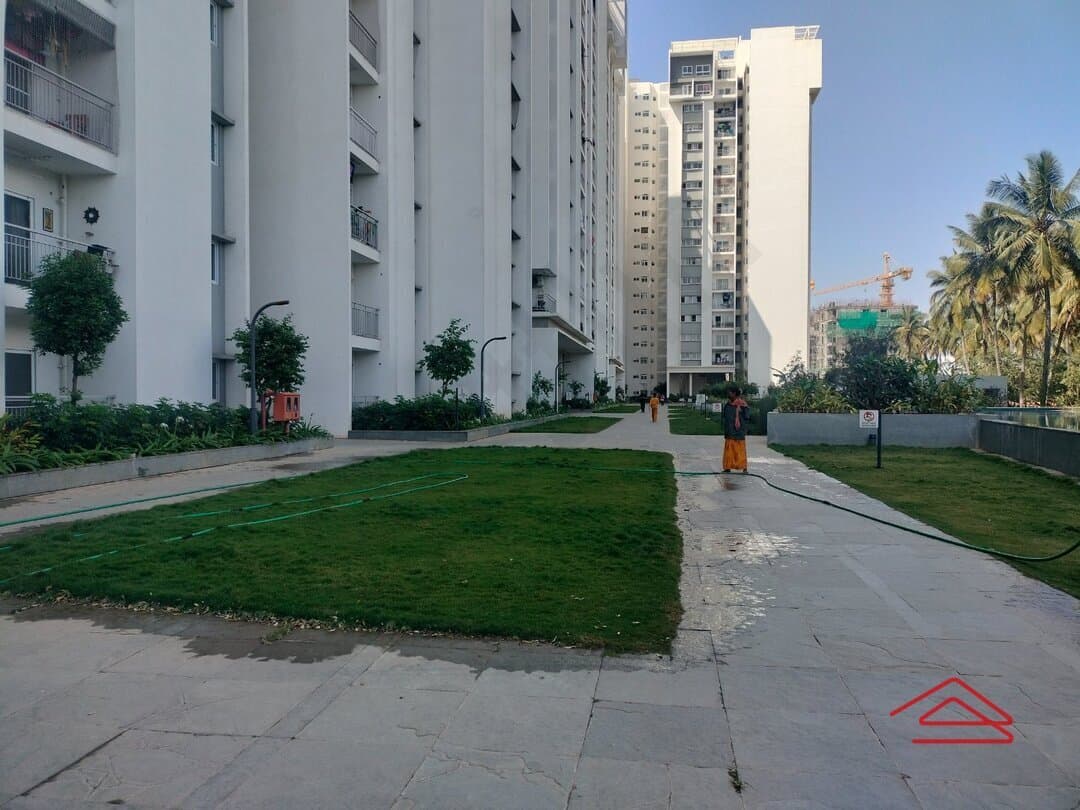 Project image