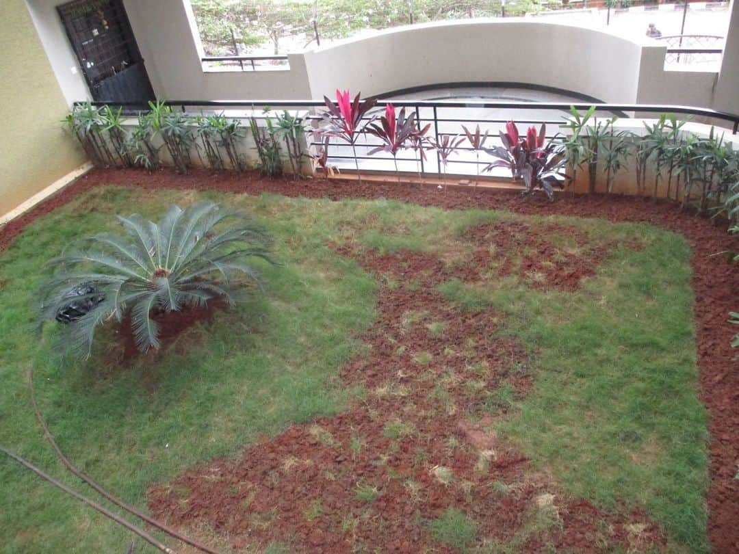 Project: OpenGreenSpace