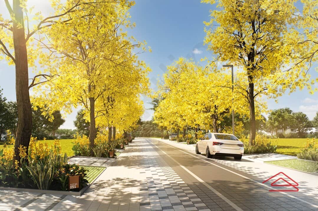 Project: ApproachRoad