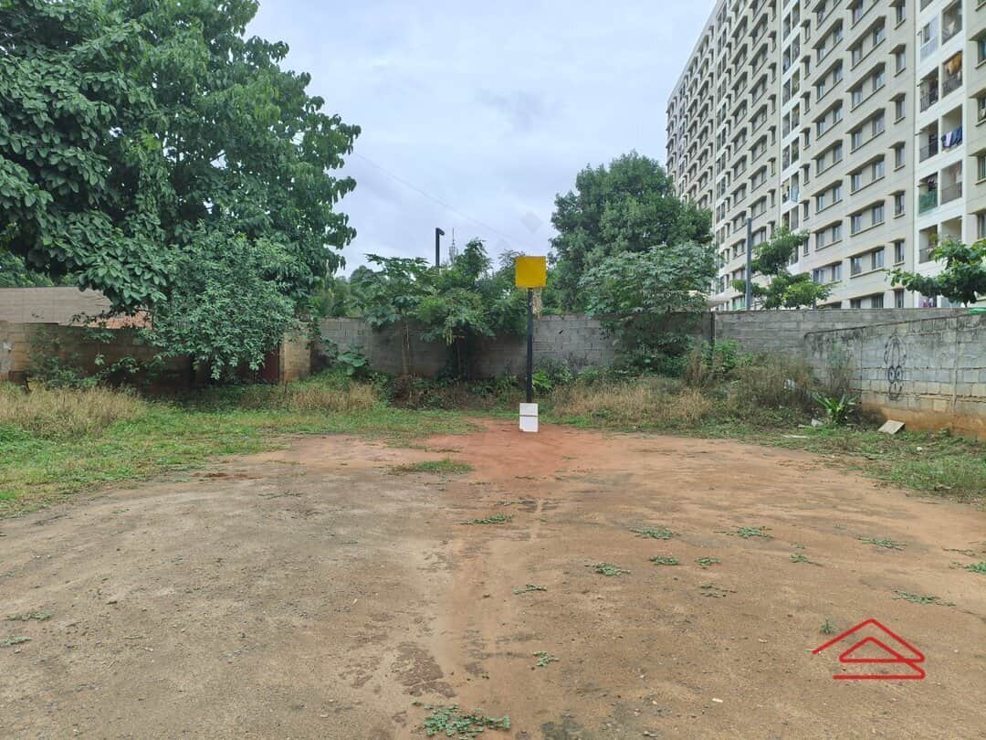 Project: BasketballCourt