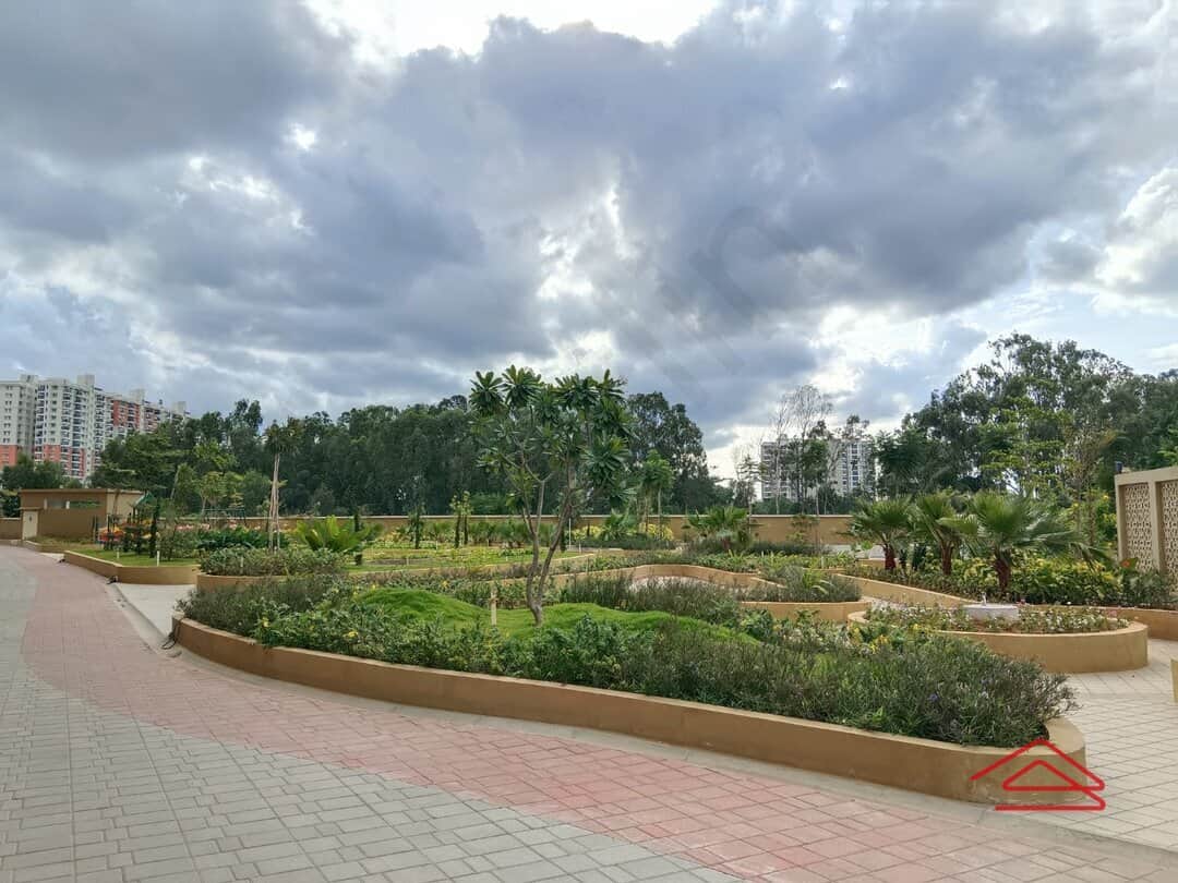 Project: AmphiTheatre