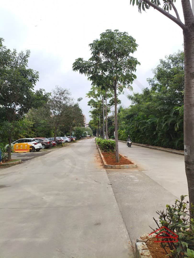 Project: ApproachRoad