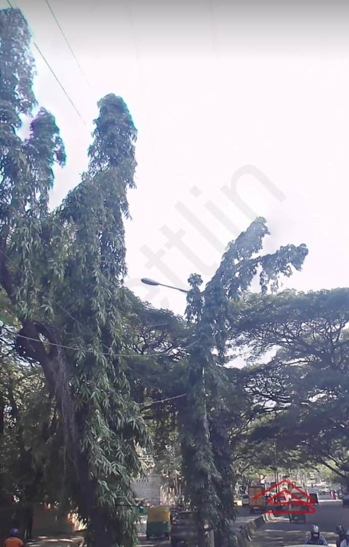 Project: ApproachRoad