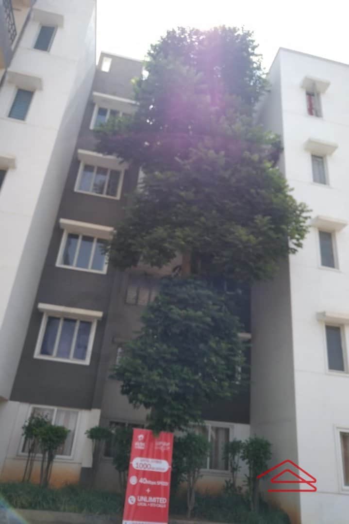 Project: Exteriors