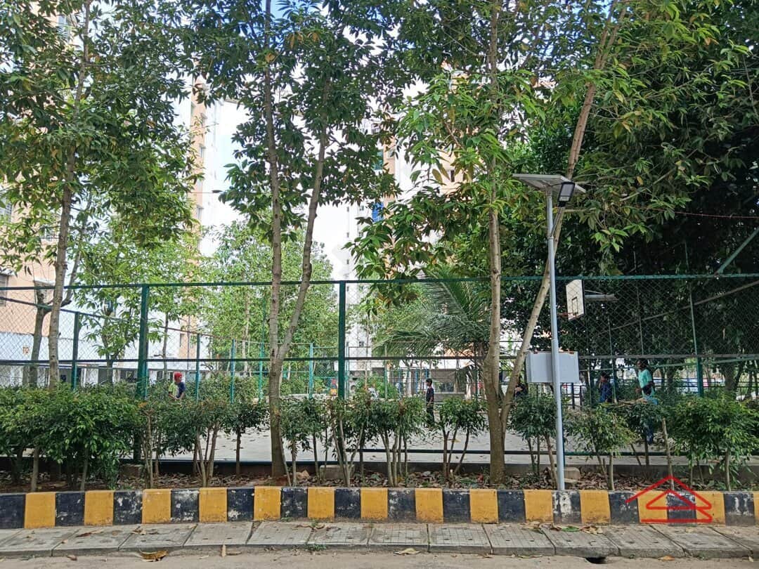 Project: BasketballCourt