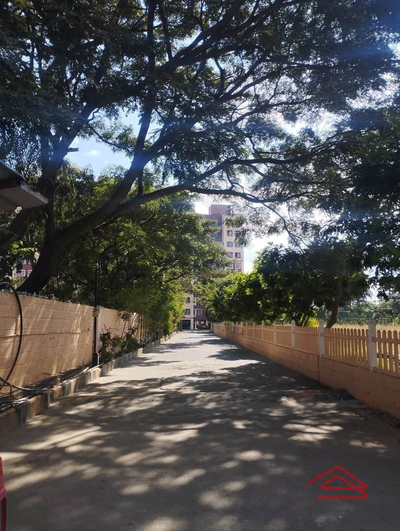 Project: ApproachRoad