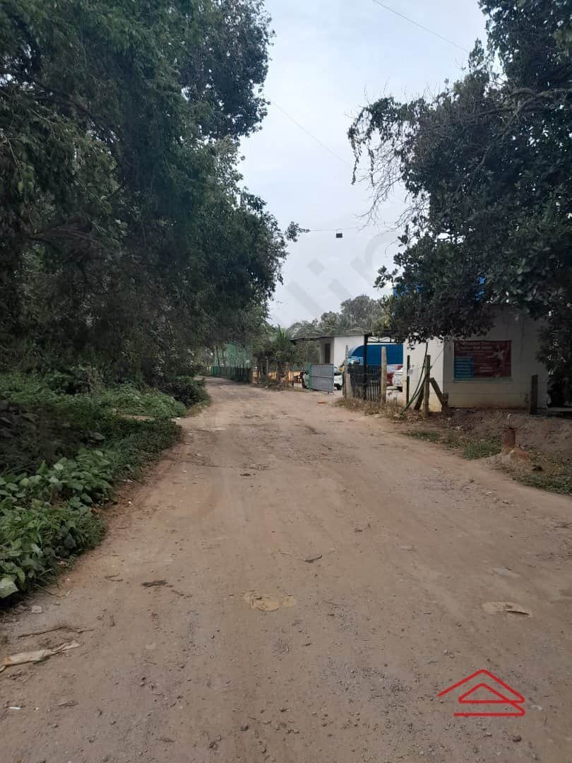 Project: ApproachRoad