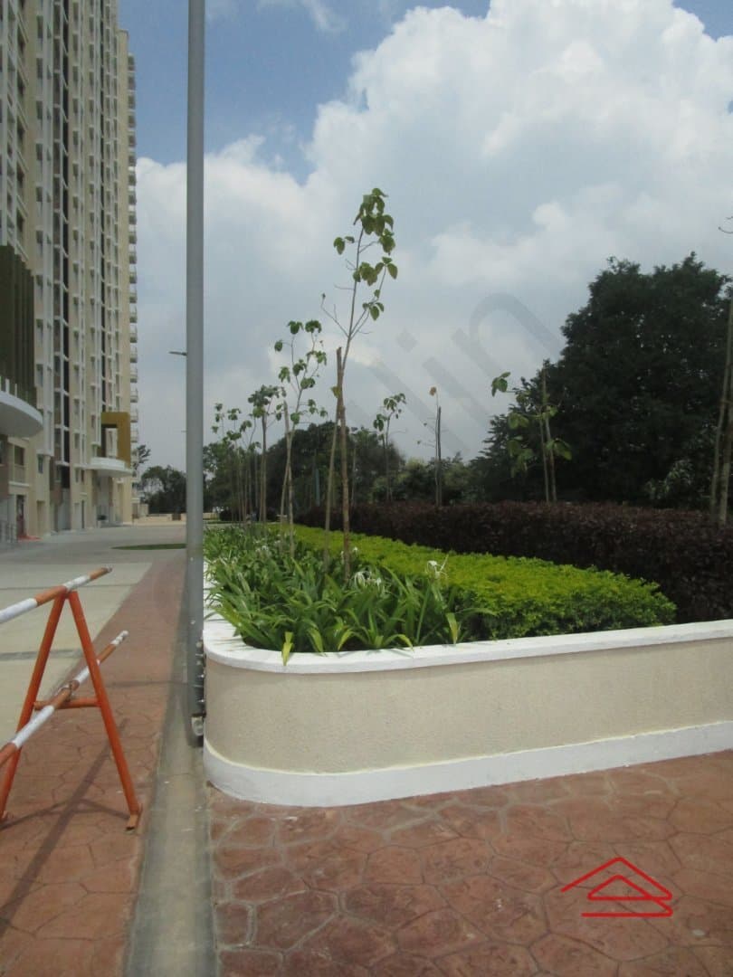 Project image