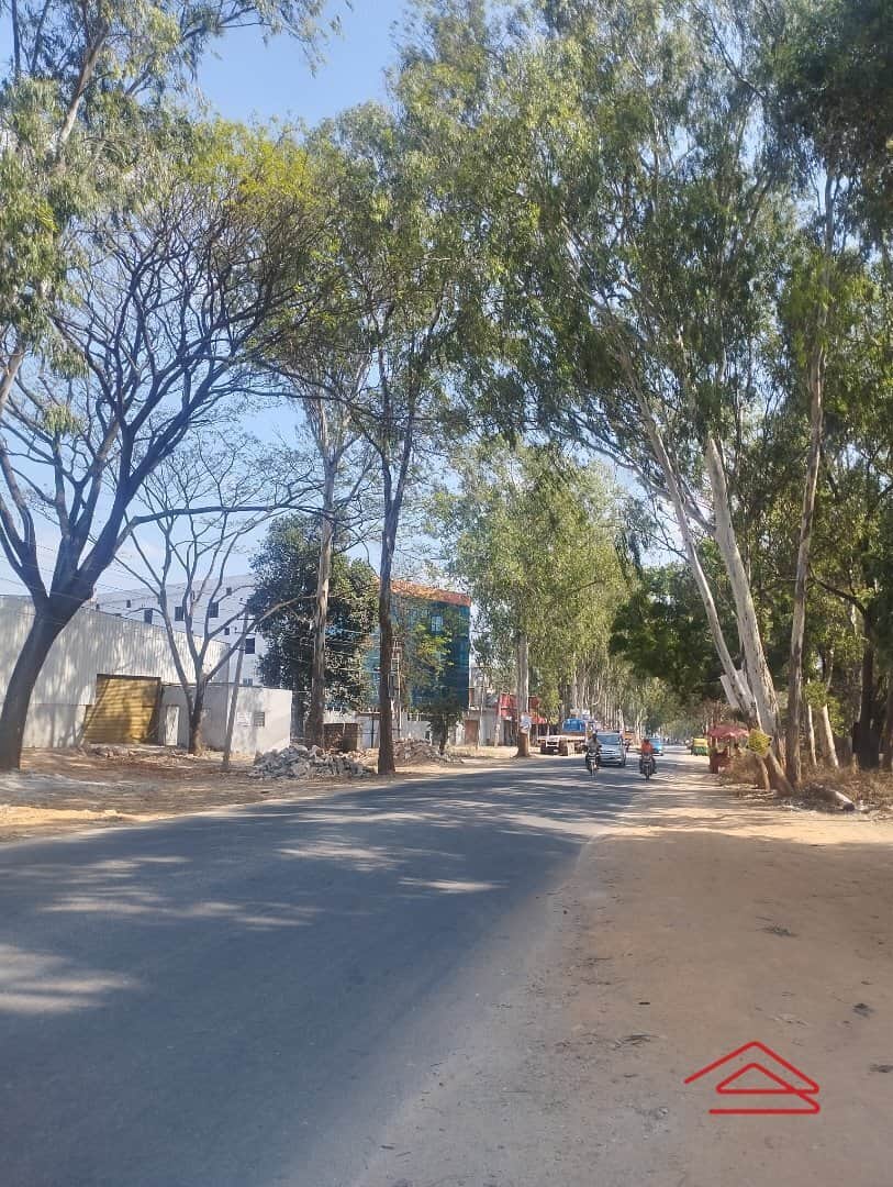 Project: ApproachRoad