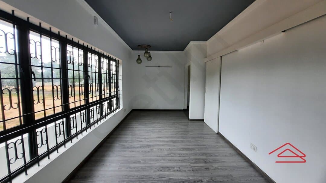 halls-5E3L.jpg