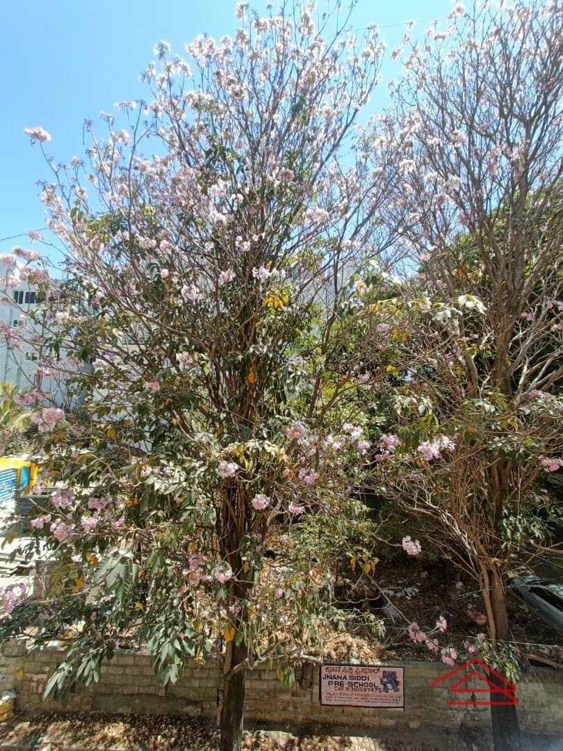 balconies-9hft.jpg