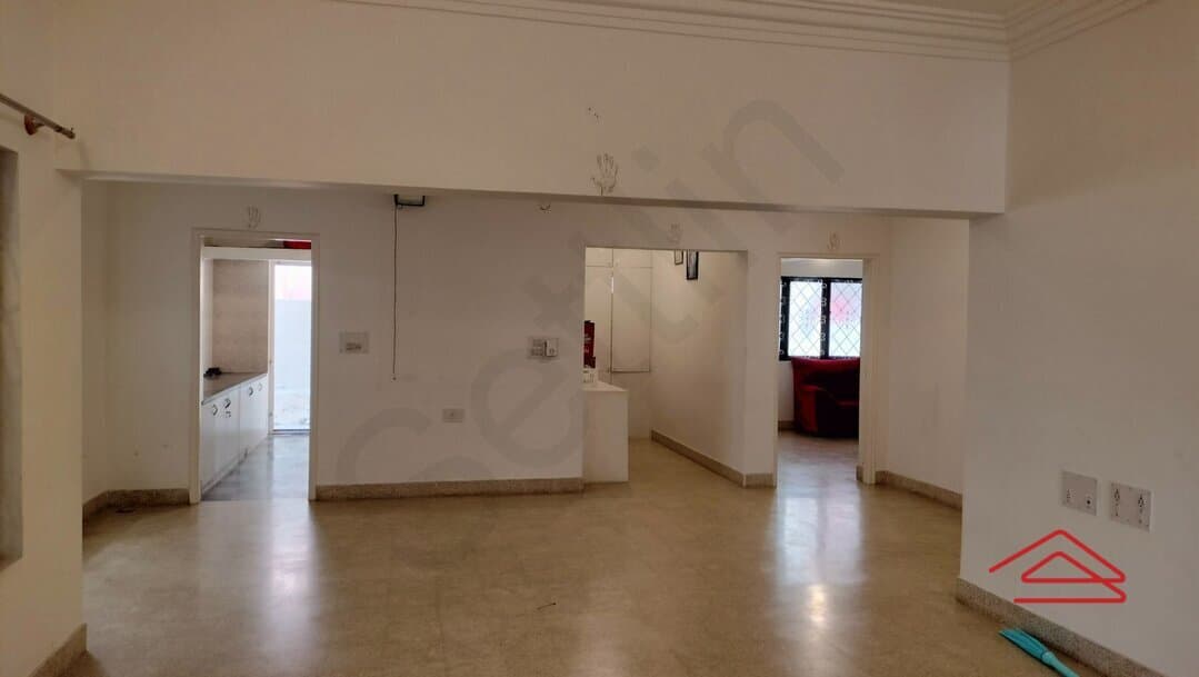 halls-pStd.jpg