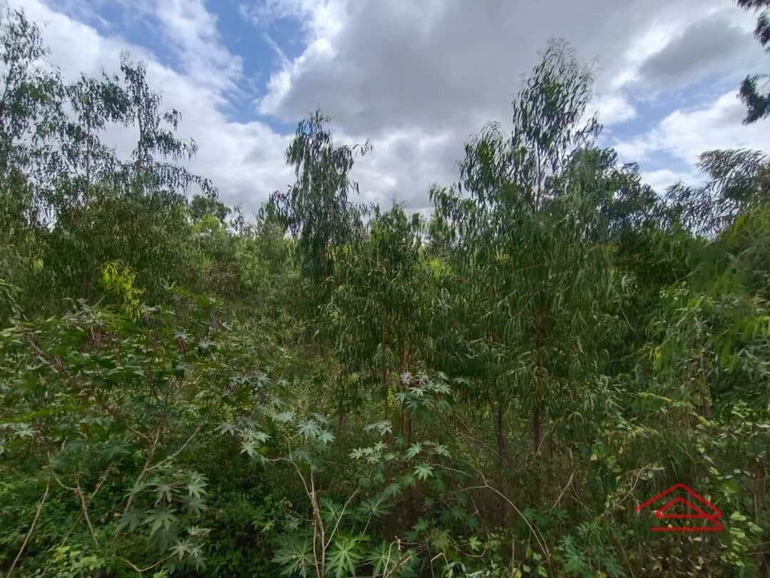 Sub Unit : balconies 1