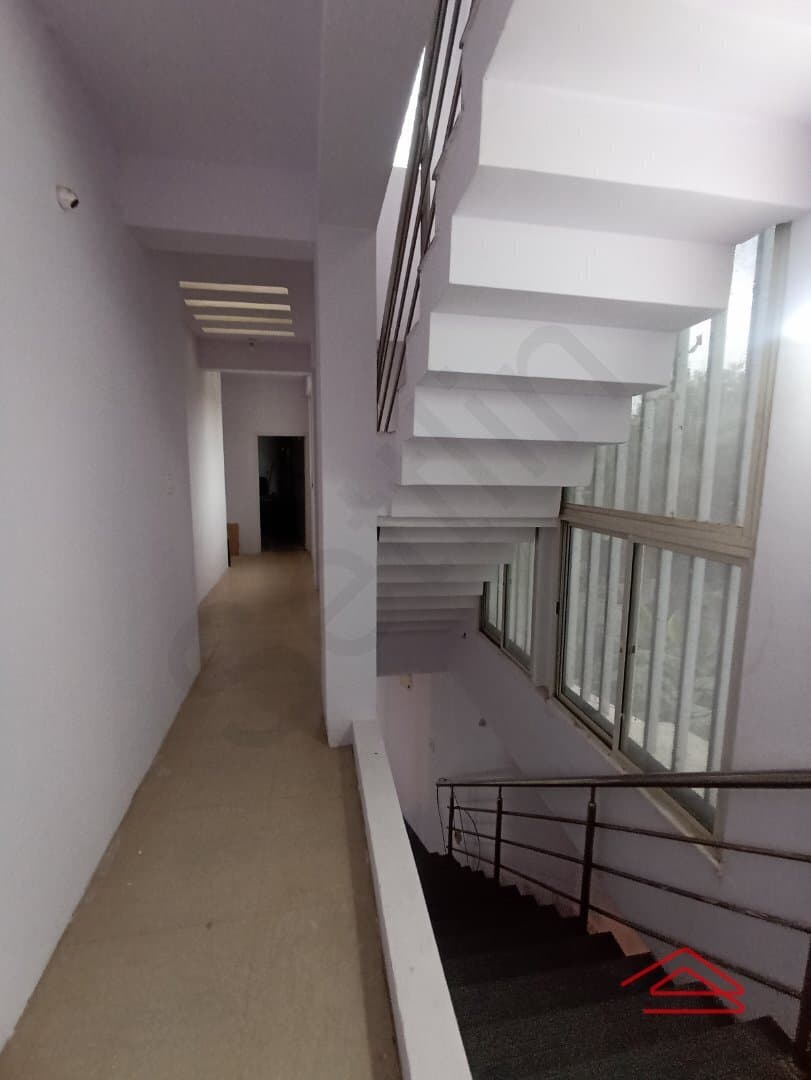 halls-vLwe.jpg