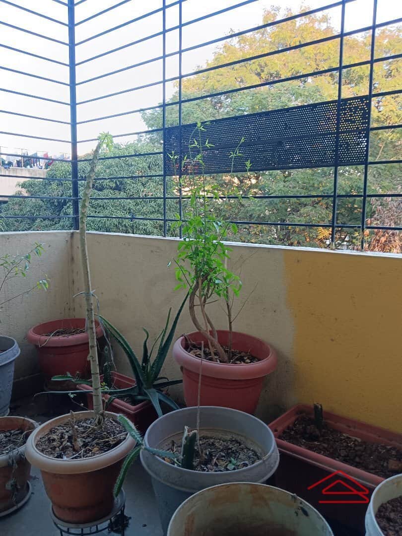 Balcony 2