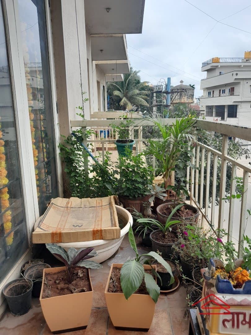 Balcony 1