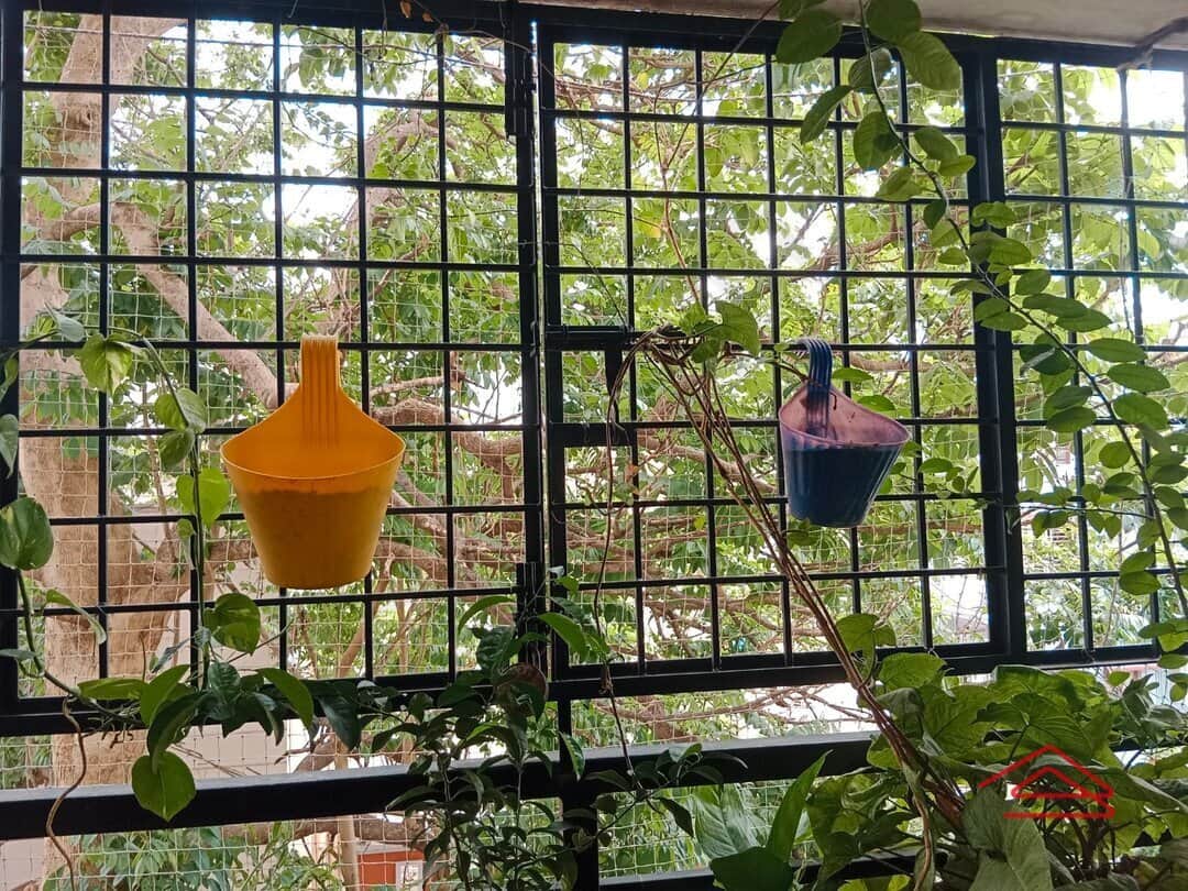 Balcony 1