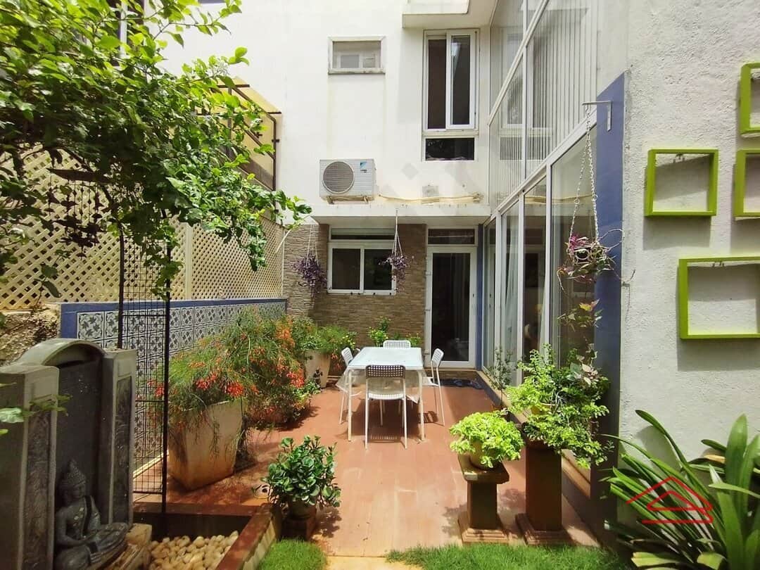 Back Yard 1