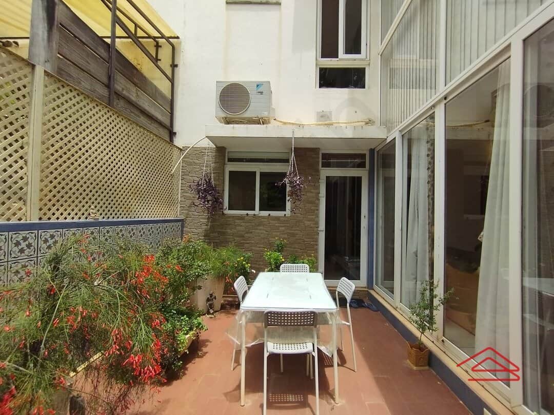 Back Yard 1