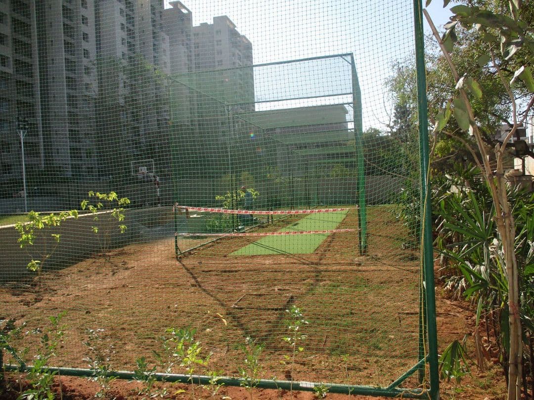 Project: Criketground