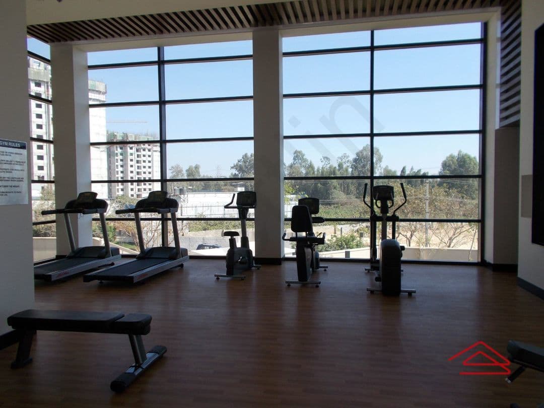 Project: Gym
