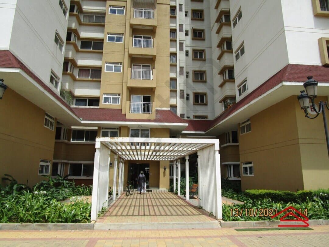 Model Flat Images