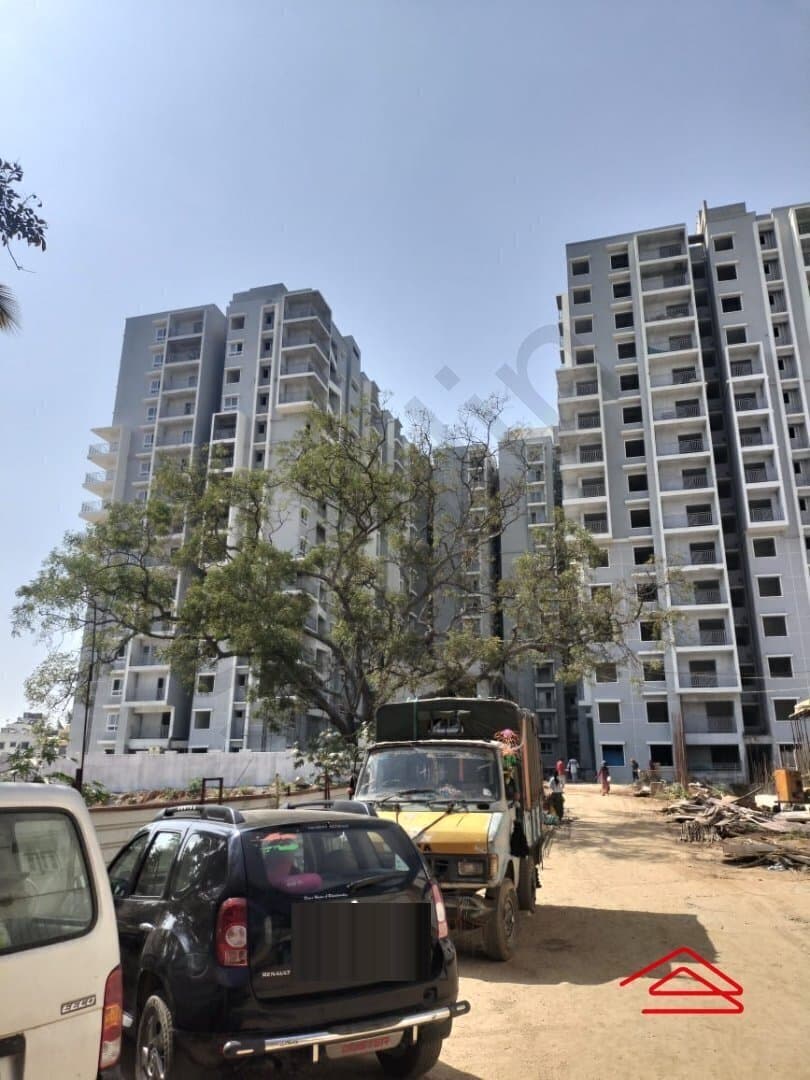 Model Flat Images