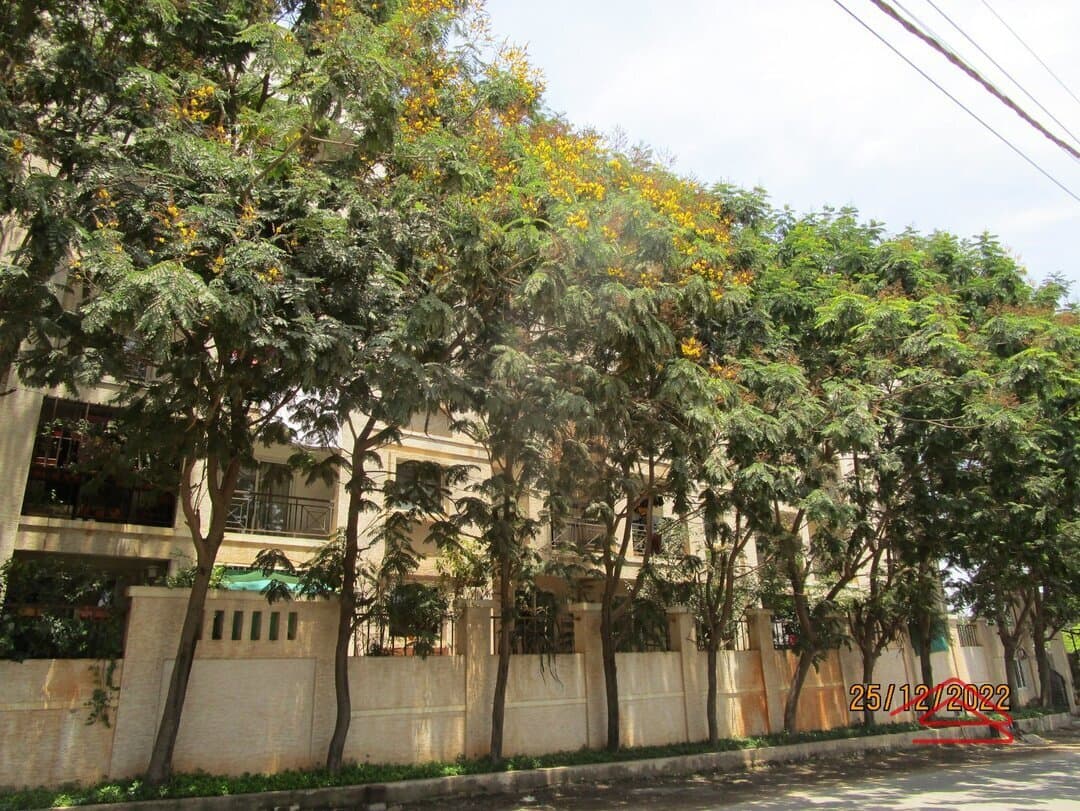 Project: Exteriors