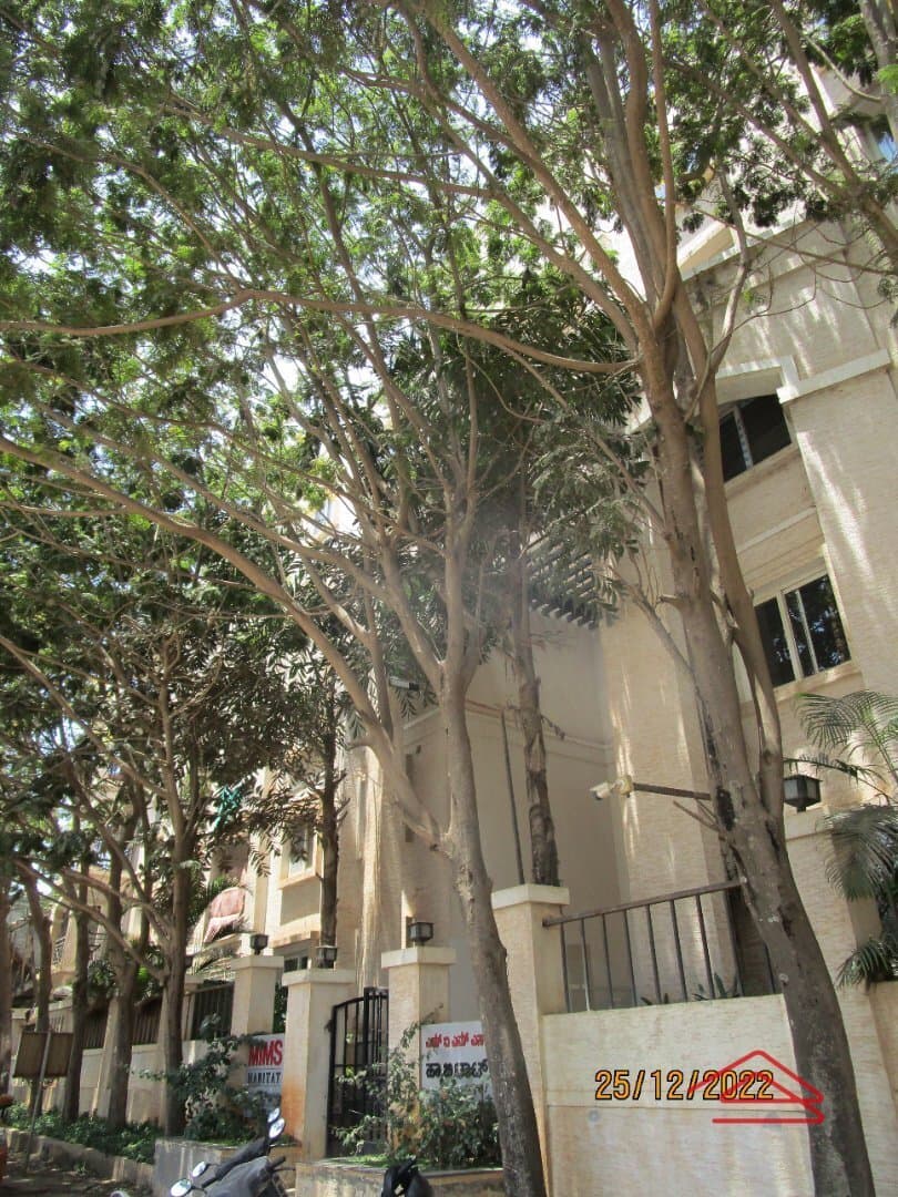 Project: Exteriors